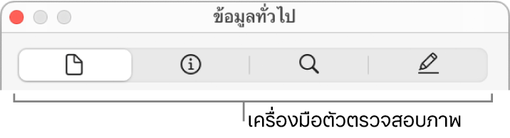 เครื่องมือตัวตรวจสอบภาพ