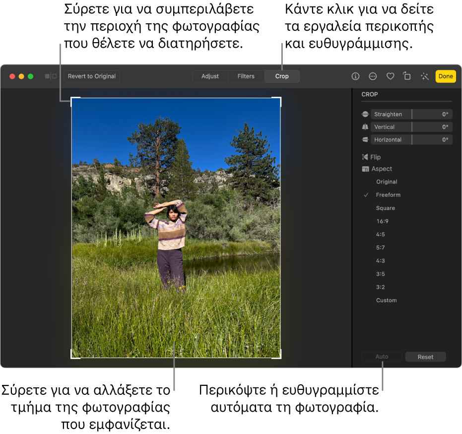 Μια φωτογραφία σε προβολή επεξεργασίας, με την «Περικοπή» επιλεγμένη στη γραμμή εργαλείων, ένα ορθογώνιο επιλογής γύρω από τη φωτογραφία, και  ρυθμιστικά ισιώματος, επιλογές αναλογίας διαστάσεων, και κουμπιά «Αυτόματα» και «Επαναφορά» στα δεξιά.
