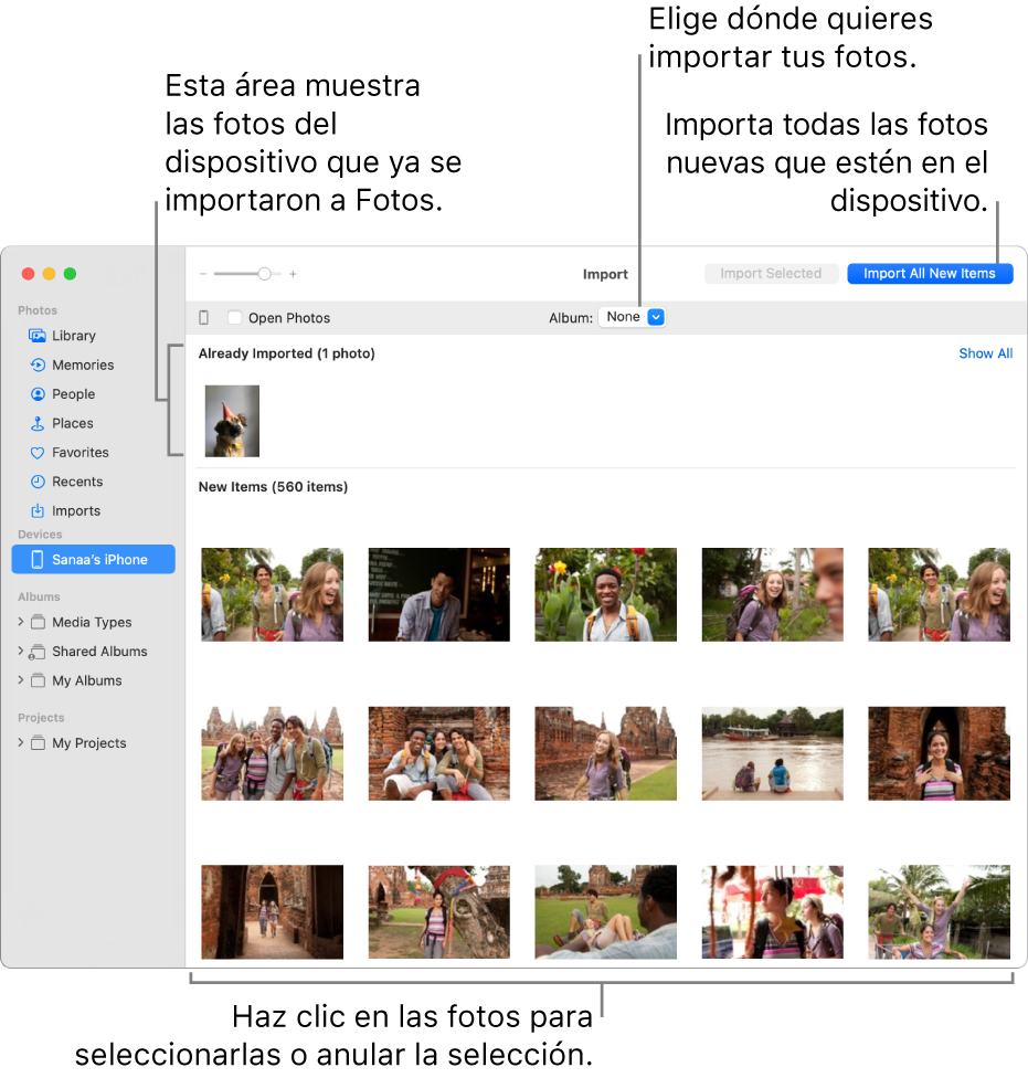 Las fotos en el dispositivo que ya importaste se muestran en la parte superior de la ventana Importar; las fotos nuevas se muestran en la parte inferior. En parte central superior se encuentra el menú desplegable Álbum. El botón Importar todos los elementos nuevos se encuentra en la parte superior derecha.