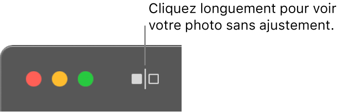 Le bouton Sans ajustement, à côté des commandes de la fenêtre dans le coin supérieur gauche de la fenêtre.