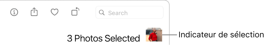 Un indicateur de sélection présentant trois photos sélectionnées.