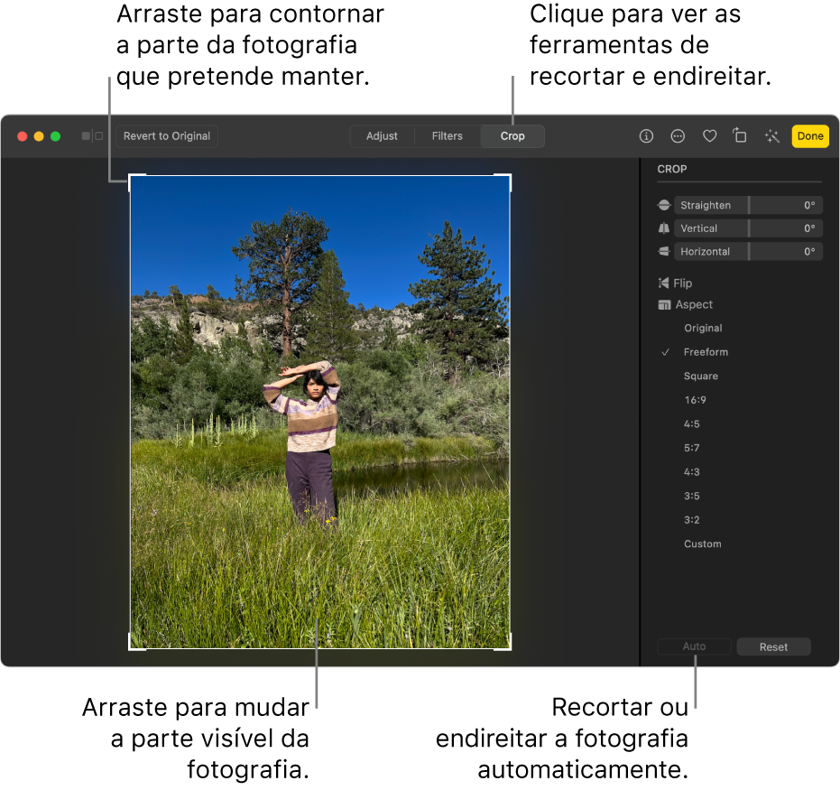 Uma fotografia na vista de edição com a opção Recortar selecionada na barra de ferramentas, um retângulo de seleção em volta da fotografia, niveladores de endireitamento, opções de proporção e os botões Automático e Repor.