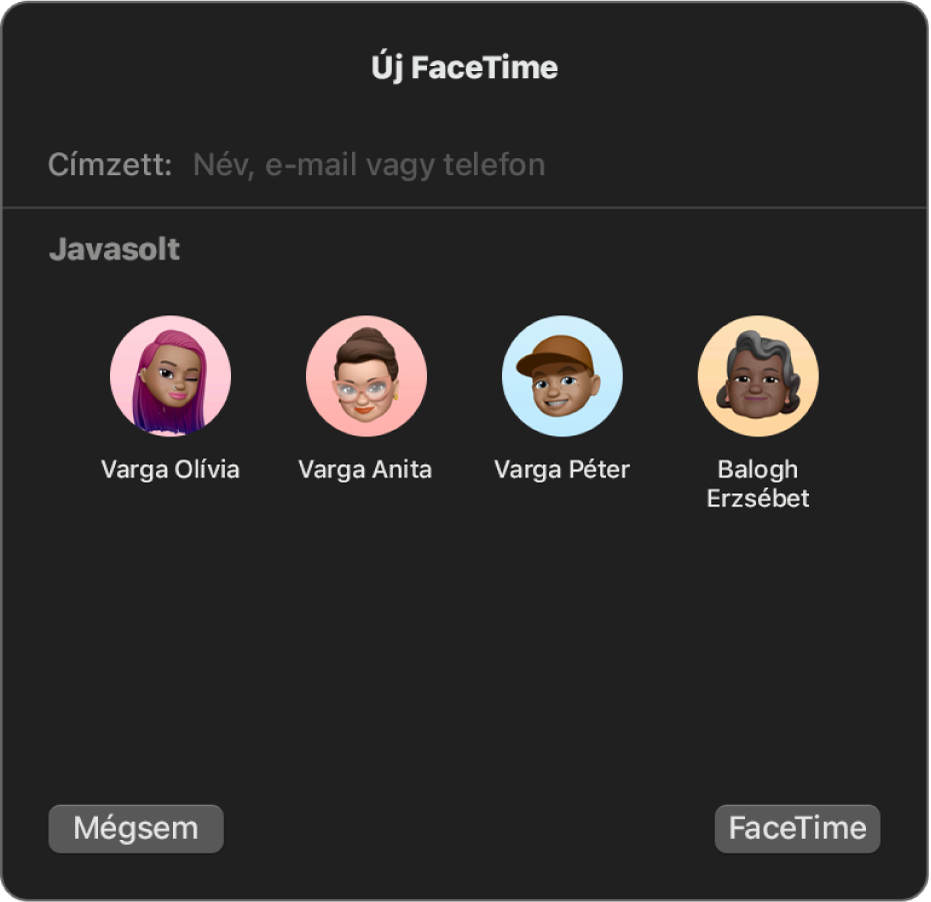 Az új FaceTime-ablak – adja meg a hívókat a közvetlenül a Címzett mezőben, vagy válasszon a Javasoltak közül.