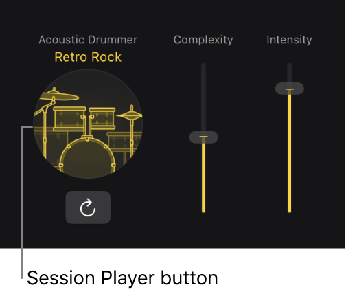 Figure. The Session Player button in the Session Player Editor.