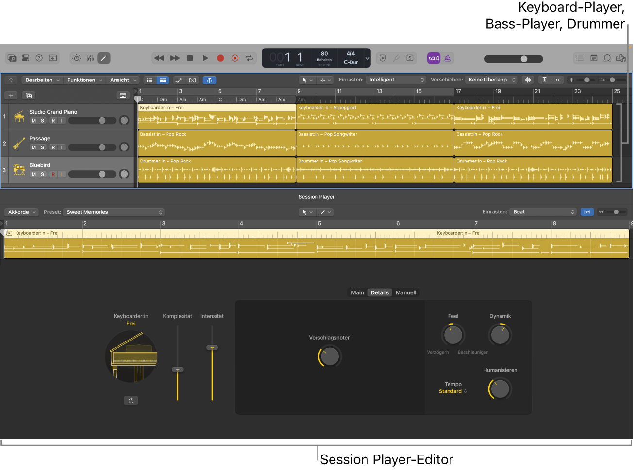 Abbildung. Die Session Player im Bereich „Spuren“ und im Session Player-Editor.