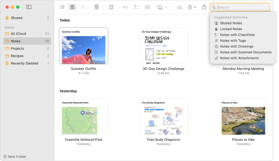 La visualización como galería de Notas, mostrando el contenido de cada nota en una miniatura. Las búsquedas sugeridas aparecen en la esquina superior derecha, por ejemplo, notas bloqueadas y notas con archivos adjuntos.