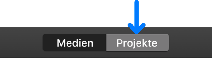 Taste „Projekte“ in der Symbolleiste