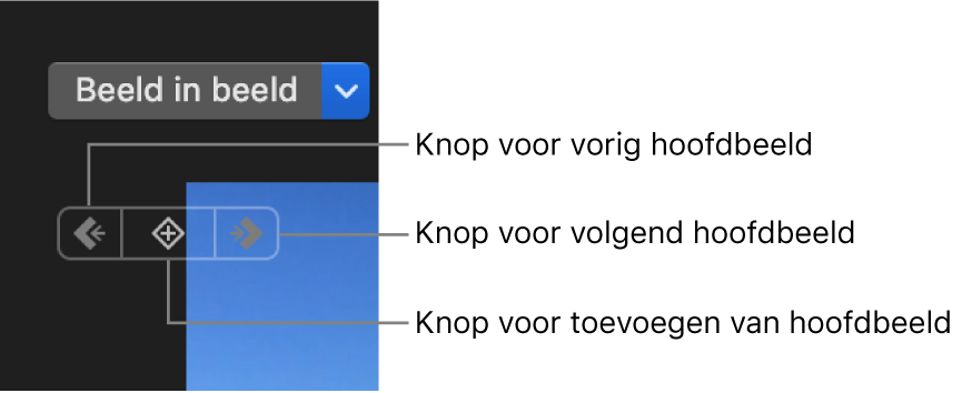 De knoppen 'Vorig hoofdbeeld', 'Volgend hoofdbeeld' en 'Verwijder hoofdbeeld' in het weergavevenster