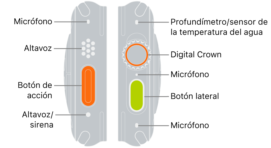 Los dos lados del Apple Watch Ultra. La imagen de la izquierda muestra la parte trasera del Apple Watch Ultra a la izquierda. De arriba abajo, hay textos que señalan a un micrófono, un altavoz, el botón de acción y un puerto de altavoz que emite el sonido de sirena. La imagen de la derecha muestra la parte trasera derecha del Apple Watch Ultra. De arriba abajo, hay textos que señalan al profundímetro/sensor de temperatura del agua, la corona Digital Crown, el micrófono, el botón lateral y otro micrófono.