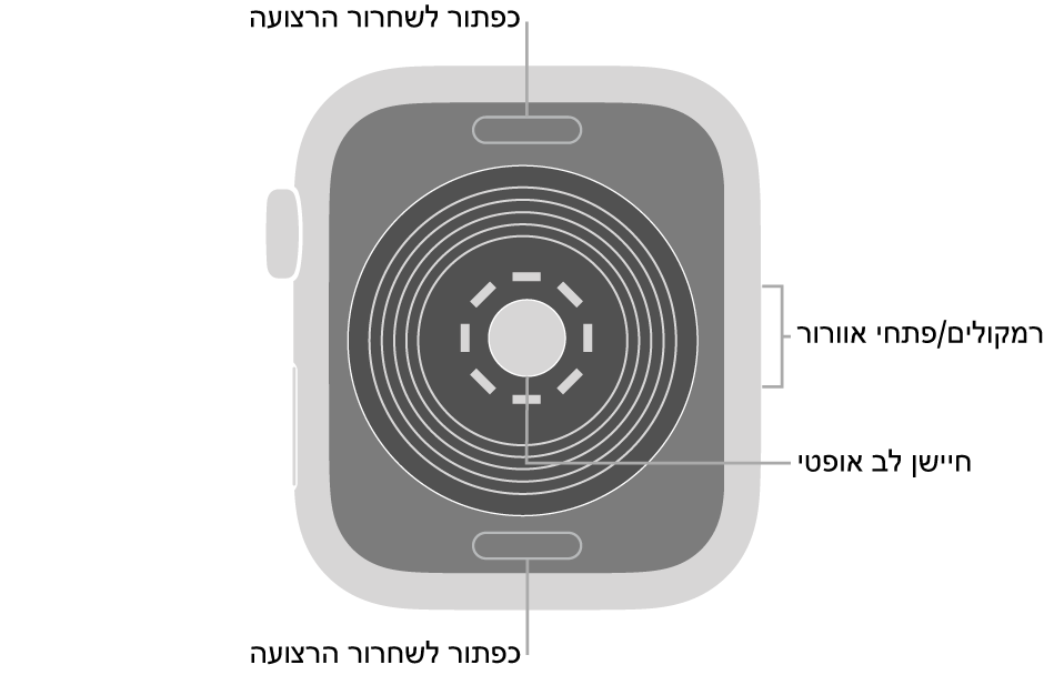 החלק האחורי של Apple Watch SE עם כפתורי שחרור הרצועה למעלה ולמטה, חיישן הדופק האופטי בחלק המרכזי והרמקול/פתחי האוורור בצד.