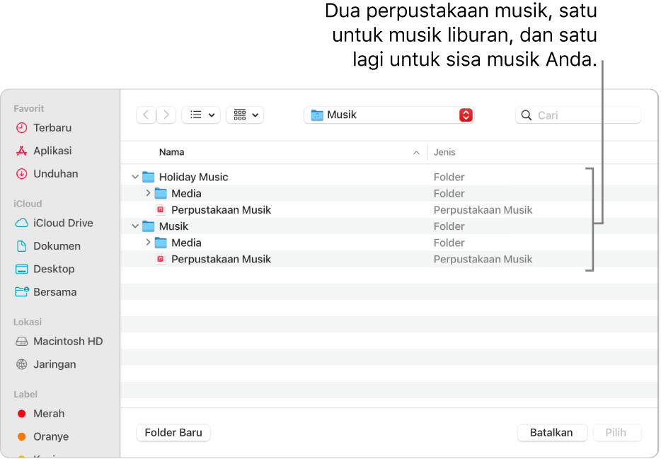 Jendela Finder menampilkan beberapa perpustakaan—satu untuk musik liburan, dan yang lain untuk sisa musik Anda.