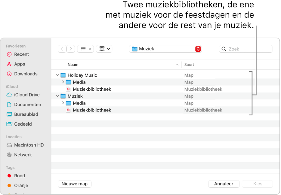 Het Finder-venster met meerdere bibliotheken. Een met muziek voor de feestdagen en een voor de rest van je muziek.