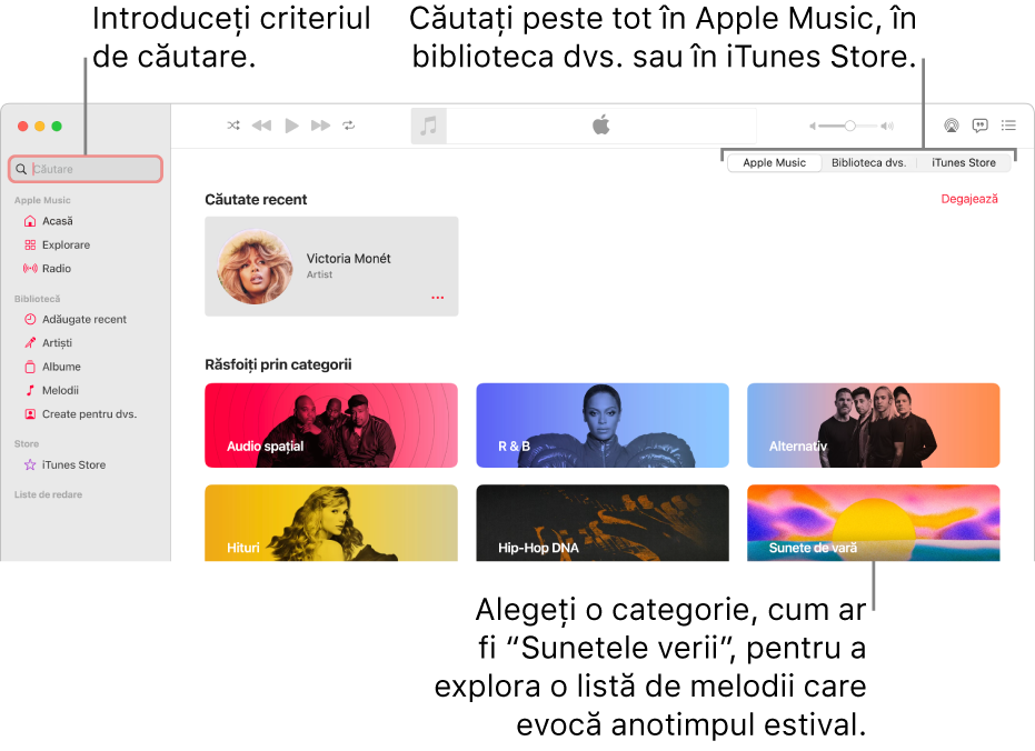 Fereastra Apple Music afișând câmpul de căutare în colțul din stânga sus, lista de categorii în centrul ferestrei și Apple Music, Biblioteca dvs. și iTunes Store disponibile în colțul din dreapta sus. Introduceți criteriul de căutare în câmpul de căutare, apoi alegeți să căutați în întreg serviciul Apple Music, doar în biblioteca dvs. sau în iTunes Store.