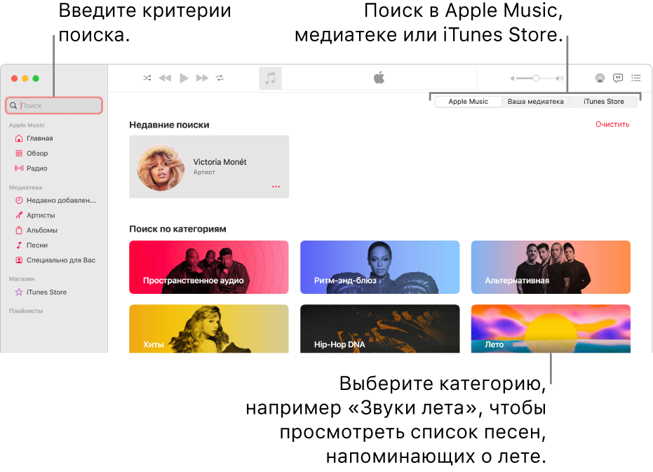 В левом верхнем углу окна Apple Music показано поле поиска, в центре окна показан список категорий поиска, а в правом верхнем углу доступны Apple Music, Ваша медиатека и iTunes Store. Пользователь вводит в поле поиска критерии для поиска, затем выбирает место поиска: все содержимое Apple Music, только содержимое его медиатеки или iTunes Store.