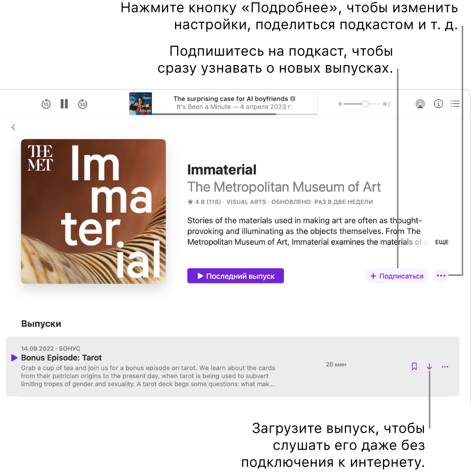 Страница информации подкаста, на которой показаны кнопки «Подписаться», «Еще» и «Загрузить».
