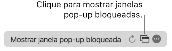 O campo de pesquisa inteligente com um ícone para mostrar as janelas pop‑up bloqueadas.