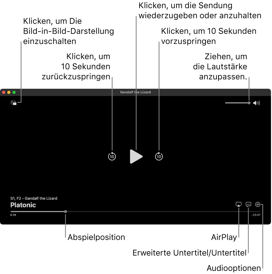 Die Wiedergabesteuerungen im Viewer, einschließlich Tasten zum Abspielen oder Anhalten, zum Vor- und Zurückspringen und zum Einstellen der Lautstärke