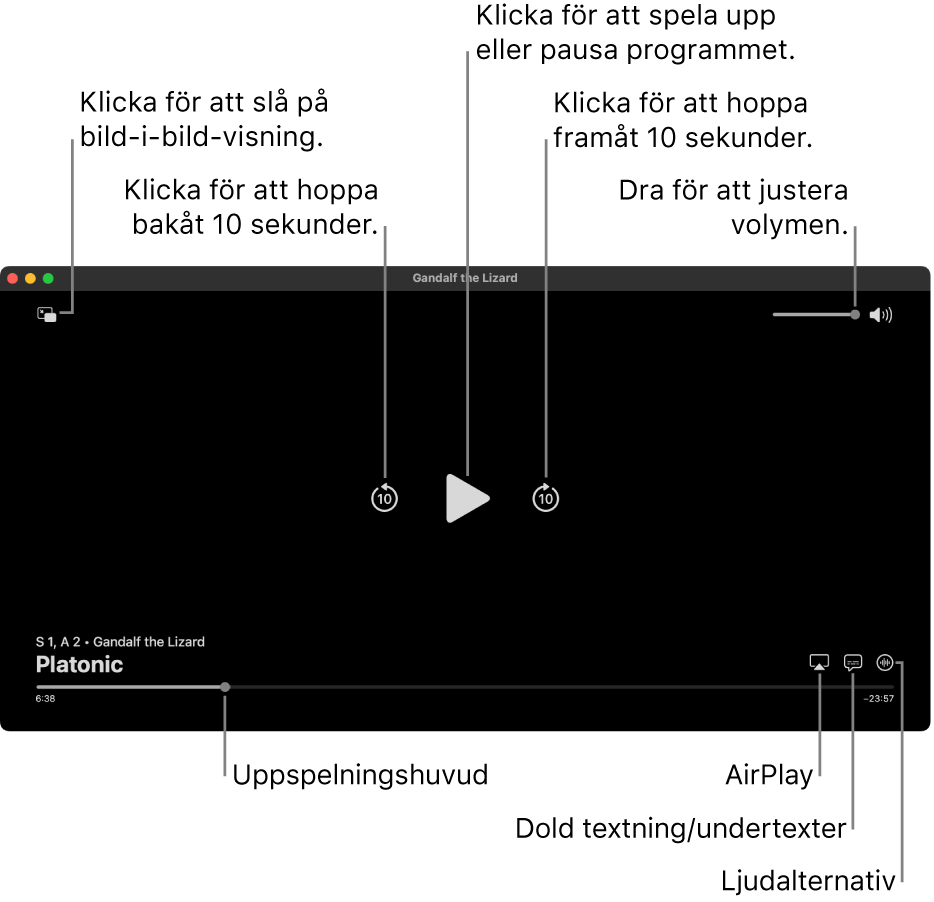 Uppspelningsreglagen i visningsfönstret innehåller knappar för att spela upp eller pausa, hoppa framåt eller bakåt och justera volymen