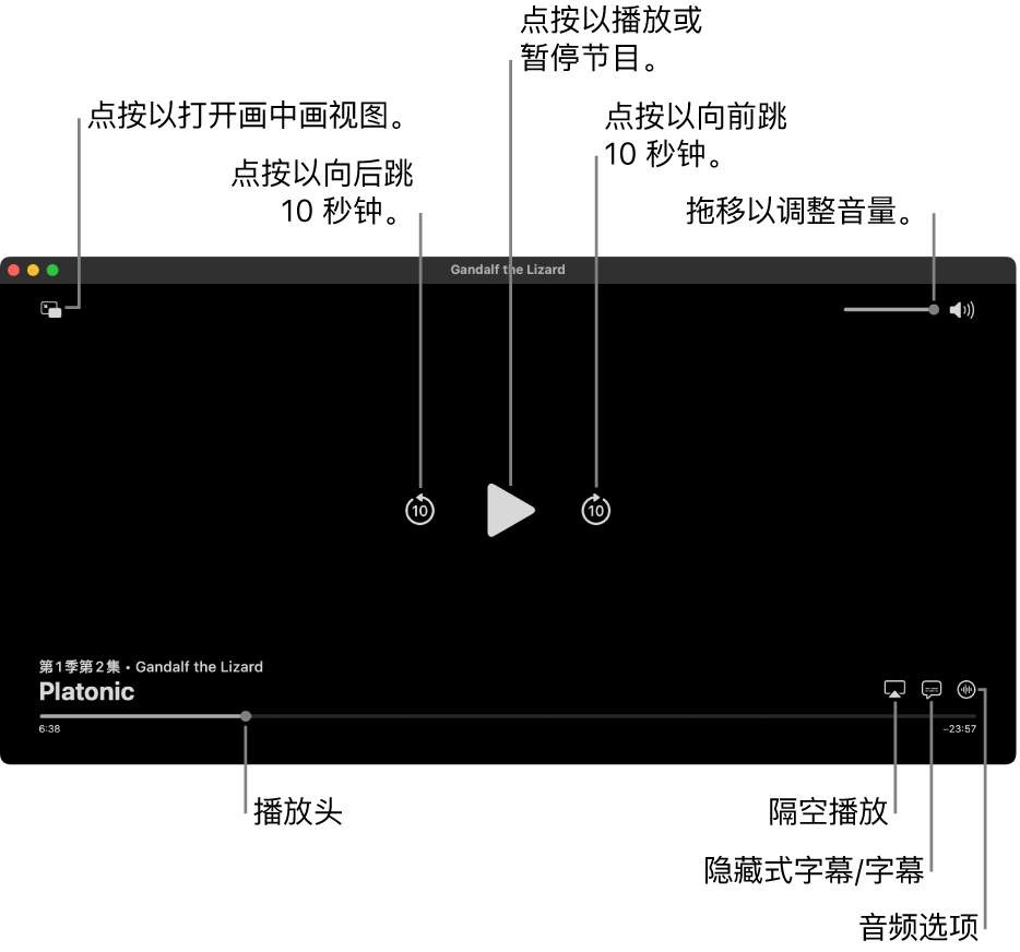 检视器中的播放控制包括用于播放或暂停、快进或快退和调整音量的按钮