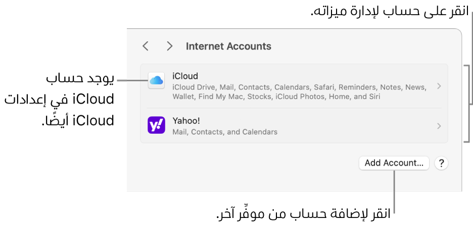 إعدادات حسابات الإنترنت تظهر بها الحسابات التي تم إعدادها على Mac مدرجة.