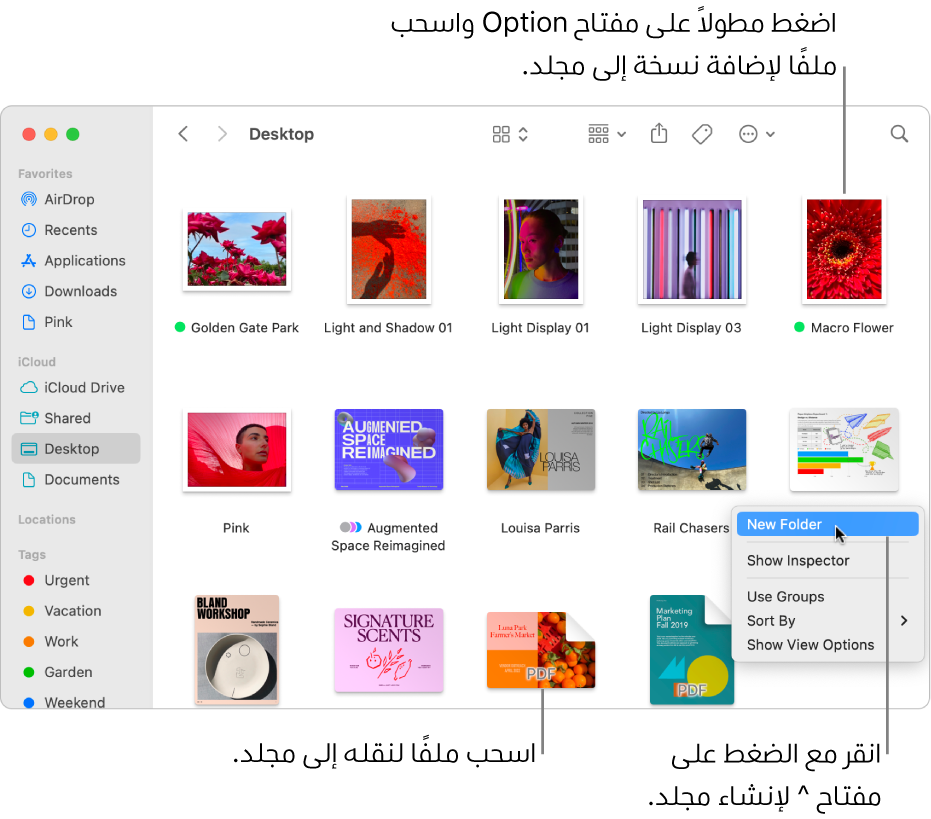 نافذة فايندر تحتوي على ملفات ومجلدات. في قائمة الاختصارات، تم تمييز خيار مجلد جديد.