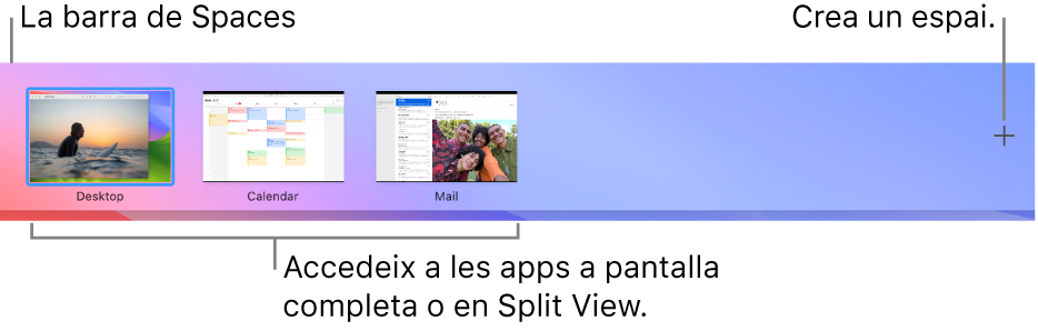 La barra de Spaces, que mostra un espai d’escriptori, apps a pantalla completa i en Split View i el botó Afegir per crear un espai.