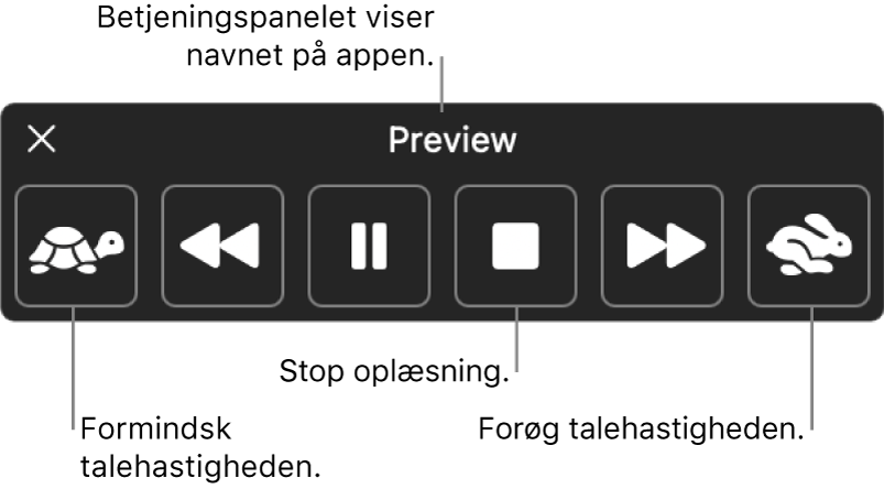 Betjeningspanelet på skærmen, der kan blive vist, når din Mac læser valgt tekst op. Betjeningspanelet har seks knapper, der fra venstre mod højre gør det muligt at sænke talehastigheden, hoppe en sætning tilbage, afspille oplæsningen eller sætte den på pause, stoppe oplæsningen, hoppe en sætning frem og øge talehastigheden. Øverst i betjeningspanelet vises navnet på appen.