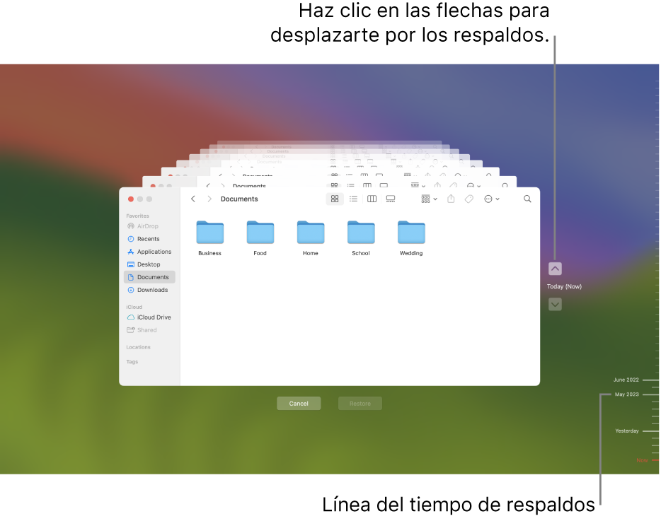 La ventana de Time Machine con varias pantallas del Finder apiladas que representan respaldos, con flechas para la navegación. Las flechas y la línea del tiempo del respaldo a la derecha te ayudan a navegar por los respaldos, de forma que puedas elegir cuáles archivos restaurar.