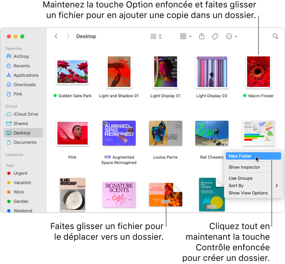 Une fenêtre du Finder contenant des fichiers et des dossiers. « Nouveau dossier » est surligné dans le menu contextuel.