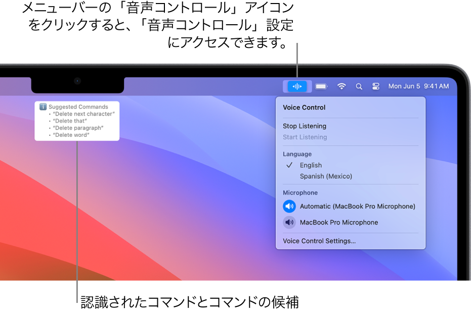 音声コントロールのフィードバックウインドウ。上に「それを削除」や「削除をクリック」などの候補のテキストコマンドが表示されています。