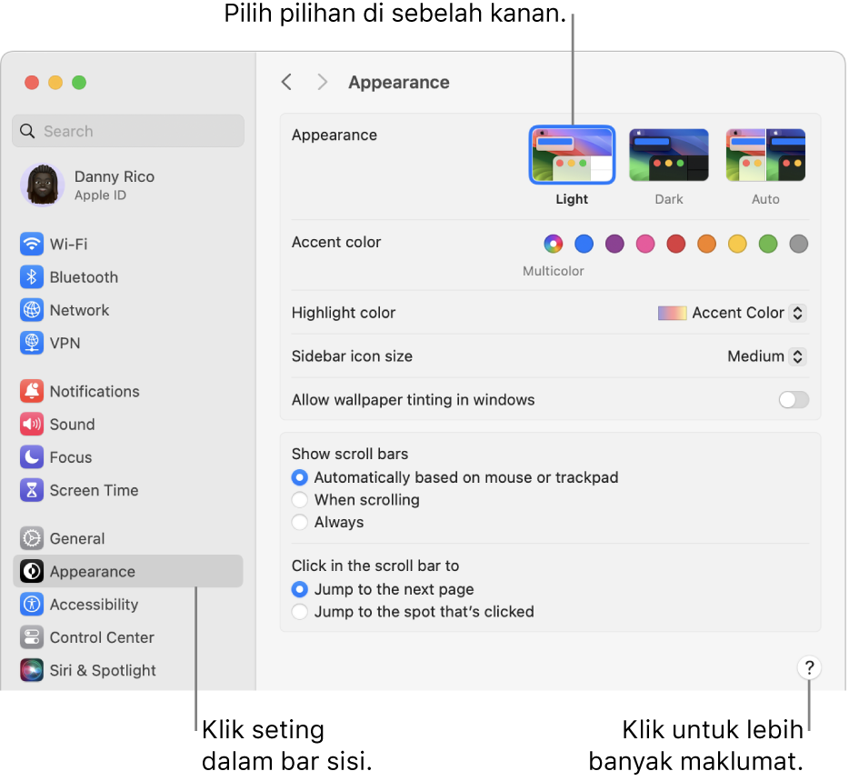 Tetingkap Seting Sistem, dengan seting Penampilan dipilih dalam bar sisi dan pilihan Penampilan di sebelah kanan.