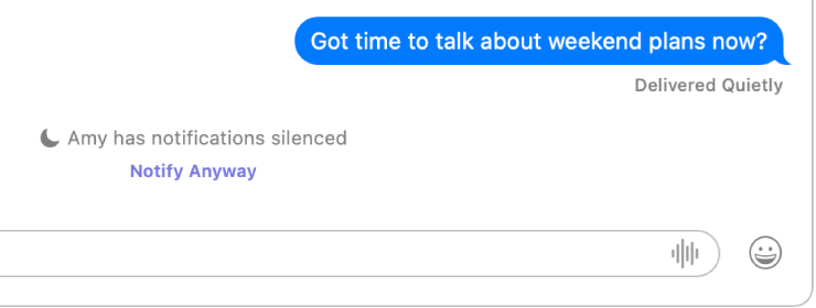 Uma conversa do app Mensagens. O app Mensagens indica que uma mensagem enviada foi entregue de maneira silenciosa porque o destinatário silenciou as notificações. Abaixo há um link “Notificar Mesmo Assim” que o remetente pode clicar para enviar a mensagem.