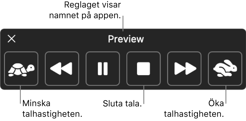 Kontrollpanelen som kan visas när datorn läser upp markerad text. Kontrollpanelen har sex knappar som, från vänster till höger, gör det möjligt att sänka uppläsningshastigheten, hoppa tillbaka en mening, spela upp eller pausa uppläsningen, stänga av uppläsningen, hoppa fram en mening och öka uppläsningshastigheten. Namnet på appen visas högst upp på kontrollpanelen.