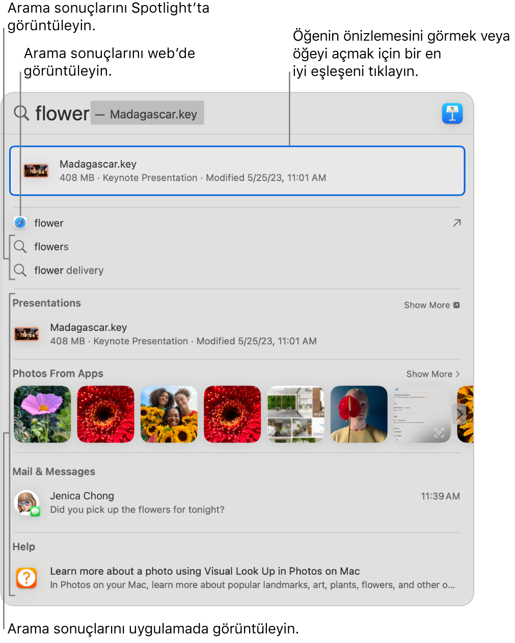 Pencerenin en üstündeki arama alanında arama metnini ve onun altında sonuçları gösteren Spotlight penceresi.