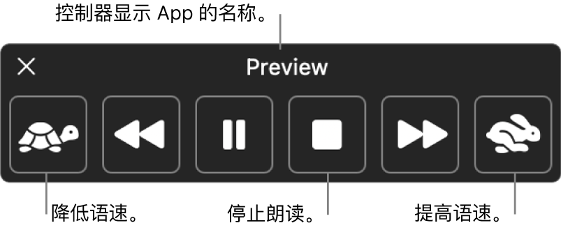 Mac 朗读所选文本时会显示的屏幕控制器。控制器提供了六个按钮，从左到右依次可让你降低语速，向后跳一个句子，播放或暂停朗读，停止朗读，向前跳一个句子，以及提高语速。App 名称显示在控制器顶部。