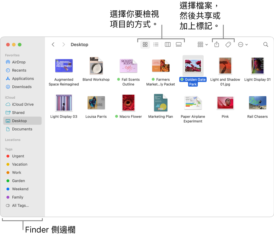 Finder 視窗，左側顯示 Finder 側邊欄。在視窗的最上方有四個可更改項目在視窗中顯示方式的按鈕，以及其他用於整理和分享項目的按鈕。