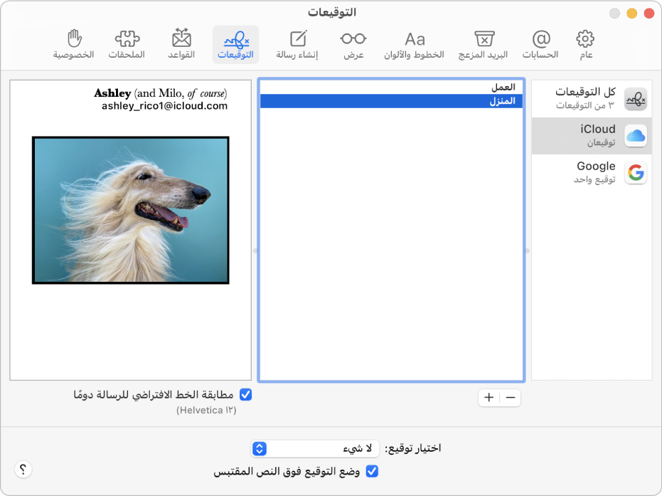 جزء إعدادات توقيعات البريد يُظهر توقيعًا يتضمن نصًا منسقًا وصورة.