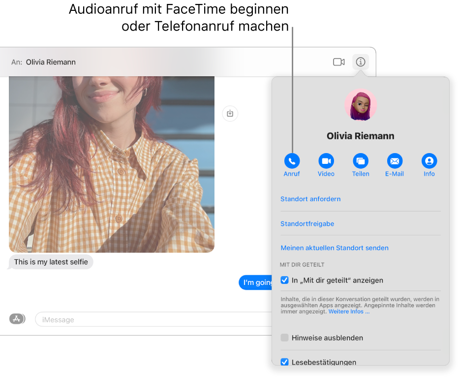 Darstellung „Info“; sie wird angezeigt, wenn du in einer Konversation auf die Taste „Info“ klickst. Verwende die Anruftaste auf der linken Seite, um einen Audioanruf mit FaceTime zu starten oder einen Telefonanruf zu tätigen.