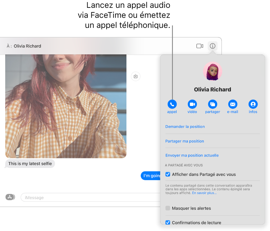 La vue Infos, qui s’affiche après que vous avez cliqué sur le bouton Infos dans une conversation. Utilisez le bouton d’appel à gauche pour démarrer un appel audio avec FaceTime ou passer un appel.