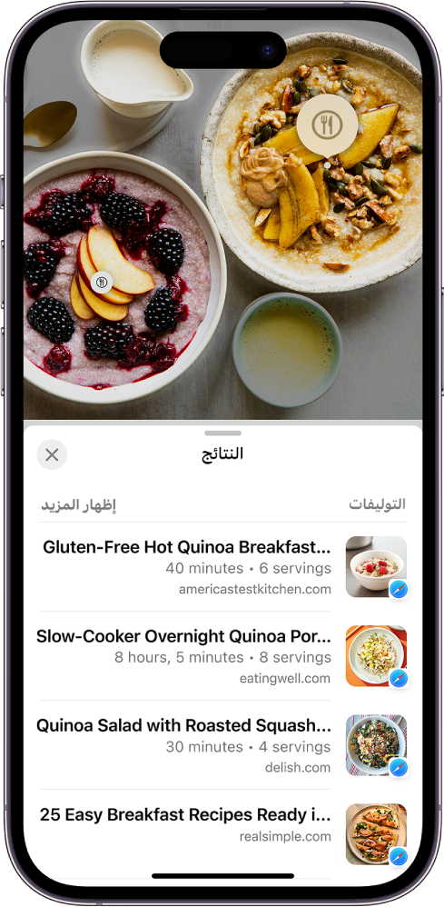 يعرض الجزء العلوي من شاشة iPhone صورة لأنواع مختلفة من الطعام. يتم تحديد عنصرين من العناصر الغذائية من خلال البحث العام المرئي ويتم تحديد عنصر واحد. يعرض الجزء السفلي من الشاشة روابط سفاري للانتقال إلى وصفات مشابهة للطعام المحددة بواسطة البحث العام المرئي.