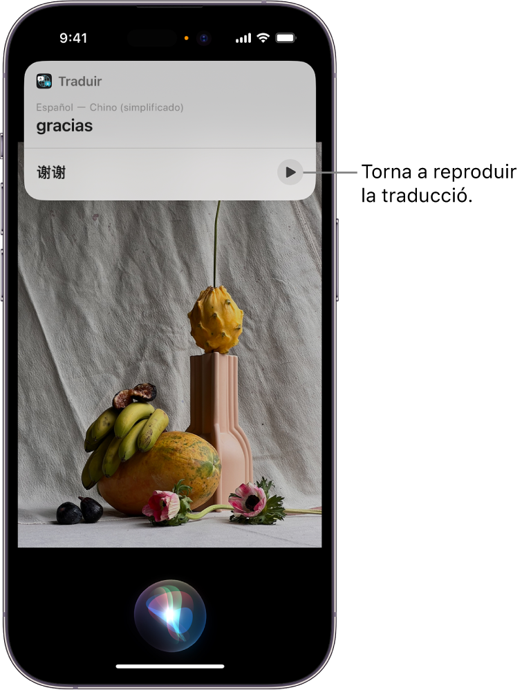 Pantalla de l’iPhone en què es mostra, a la part inferior, l’indicador d’escolta de Siri i, a la part superior, una resposta de Siri en forma de traducció [de l’anglès al mandarí].