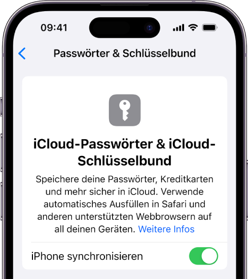 Der iCloud-Bildschirm „Passwörter & Schlüsselbund“ mit einer Einstellung zum Synchronisieren des aktuellen iPhone.