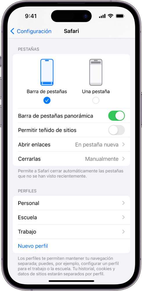 Una pantalla mostrando dos opciones de disposición de Safari: Barra de pestañas y Una pestaña.