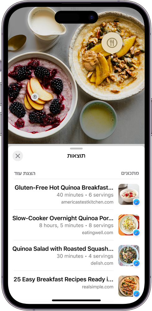 החלק העליון של מסך iPhone מציג תמונה של סוגי מזון שונים. שניים מפריטי המזון מזוהים על ידי ״חיפוש ויזואלי נרחב״ ופריט אחד נבחר. בחלק התחתון של המסך מופיעים קישורי Safari למתכונים הדומים למזון שזוהה על‑ידי ״חיפוש ויזואלי״.