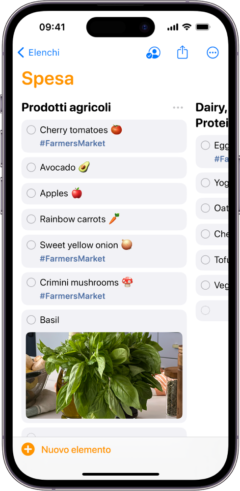 Una lista della spesa in Promemoria, con le categorie organizzate in colonne. In basso a sinistra è presente il pulsante “Nuovo elemento”.