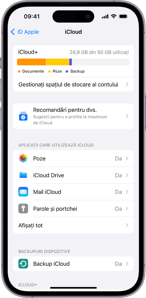 Ecranul de configurări iCloud afișând contorul de stocare iCloud și o listă de funcționalități, inclusiv Poze, iCloud Drive și Backup iCloud ce pot fi utilizate cu iCloud.