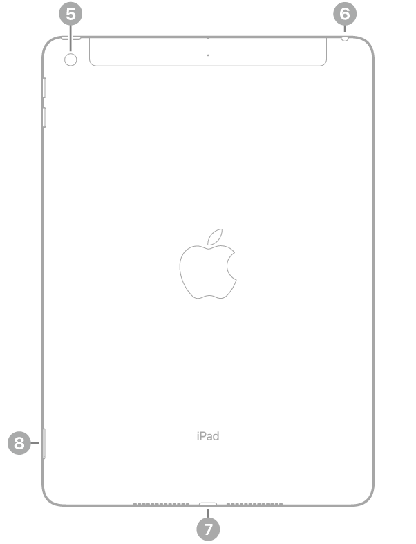 Η πίσω πλευρά του iPad με επεξηγήσεις για την πίσω κάμερα πάνω αριστερά, την υποδοχή ακουστικών πάνω δεξιά, την υποδοχή Lightning κάτω στο κέντρο και την υποδοχή SIM (Wi-Fi + Cellular) κάτω αριστερά.