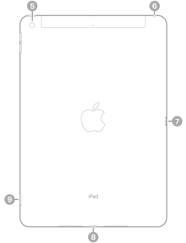 iPadの背面。左上に背面カメラ、右上にヘッドフォンジャック、右側にSmart Connector、下部中央にLightningコネクタ、左下にSIMトレイ（Wi-Fi + Cellular）が示されています。