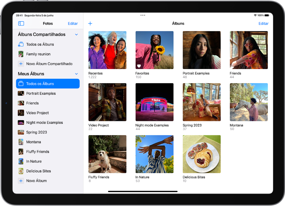 A barra lateral do app Fotos está aberta no lado esquerdo da tela. Na seção Meus Álbuns, Todos os Álbuns está selecionado. O resto da tela do iPad mostra miniaturas dos álbuns em uma grade.
