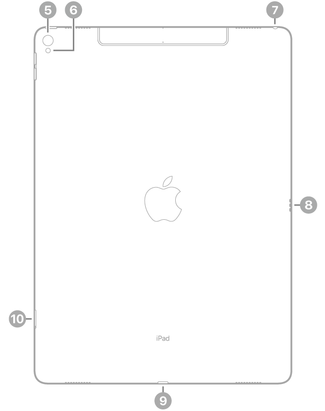 Vista traseira do iPad Pro com chamadas para a câmera traseira e flash acima à esquerda, o conector para fone de ouvido acima à direita, o Smart Connector à direita, o conector Lightning no centro abaixo e a bandeja SIM (Wi-Fi + Cellular) abaixo à esquerda.